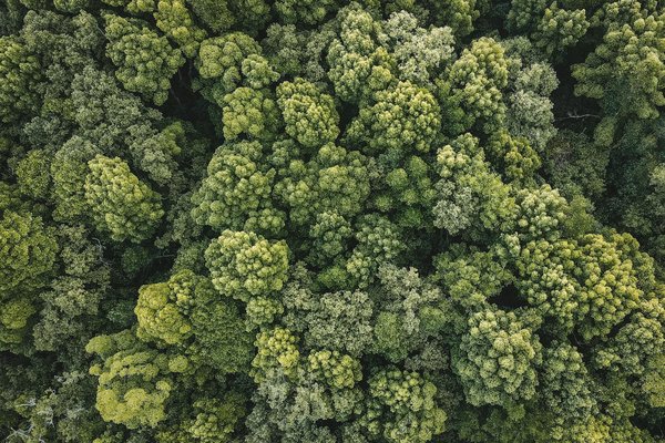 Quelles stratégies pour promouvoir le recyclage et la réutilisation des déchets électroniques ?